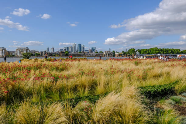 GREENWICH, LONDON, UK - AUGUST 10TH, 2017: Canary Wharf and River Thames with colourful flower beds in the foreground.