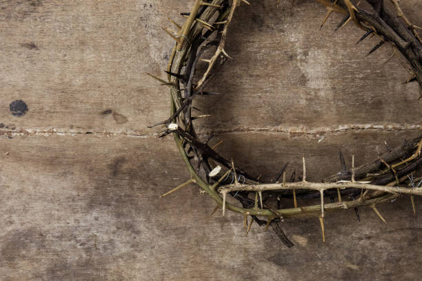 istock Crown of thorns 951061140
