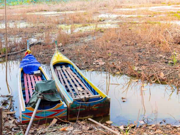 istock Boat in Swamp 951070680