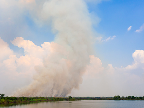 Smoke Stack Floating in The Air with Fire Burning near The Swamp