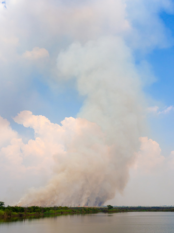 Smoke Stack Floating in The Air with Fire Burning near The Swamp