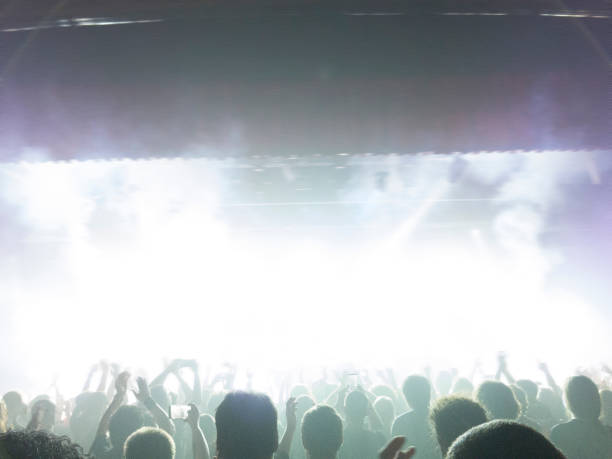istock Concert crowd in front of a live stage 951073942