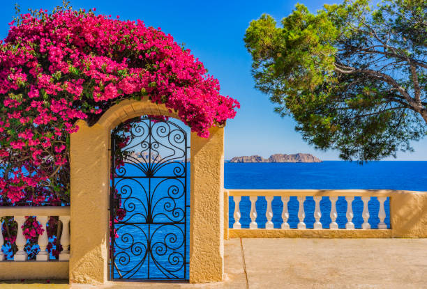 idilliaca vista mare sul mar mediterraneo spagna, sulla costa dell'isola di maiorca, isole baleari - majorca foto e immagini stock