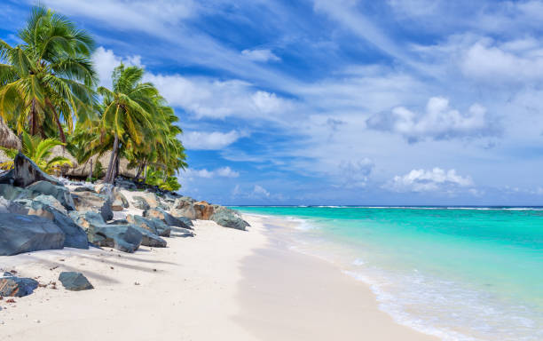 istock Stunning white sandy beach with rocks and palms on Rarotonga, Cook Islands 951078526