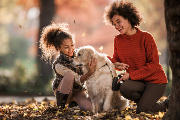 istock Autumn day with a dog! 951080924