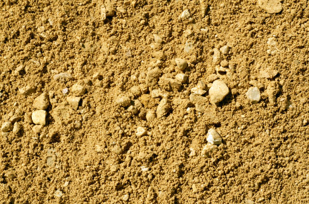 istock Sand texture in yellow color. 951081562