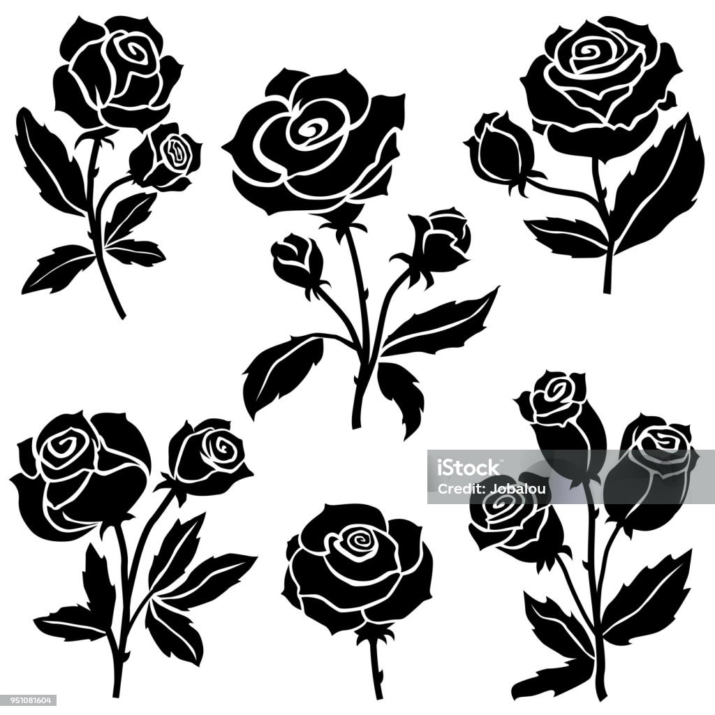 Rose flowers Collection Vector illustration of a beautiful black and white Rose flowers Collection Rose - Flower stock vector