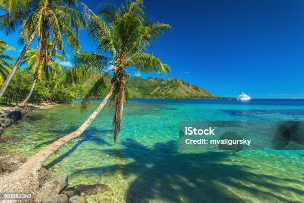 Palmen Und Ruhigen Bucht Auf Moorea In Tahiti Stockfoto und mehr Bilder von Insel Tahiti - Insel Tahiti, Insel Moorea, Polynesien