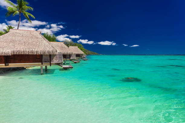 istock Best overwater bungalows on a tropical island with vibrant beach 951082488