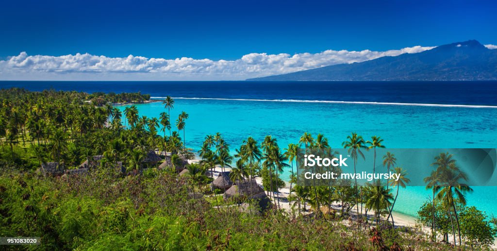 Palmen am tropischen Strand von Moorea Insel mit Blick auf Tahiti - Lizenzfrei Insel Moorea Stock-Foto