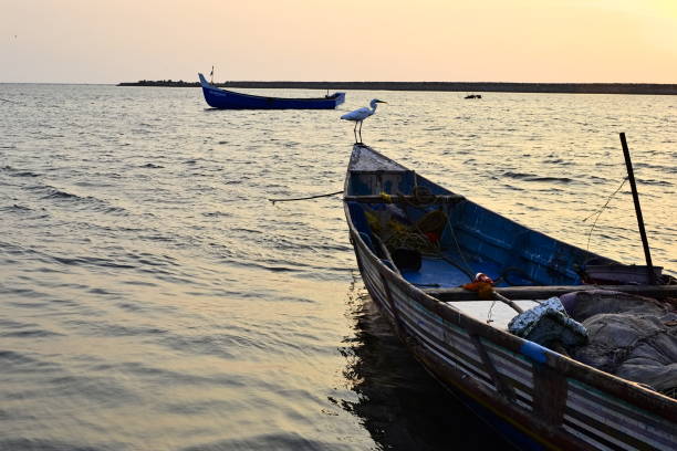 istock Fishing boats in a bay on sunset 951086820