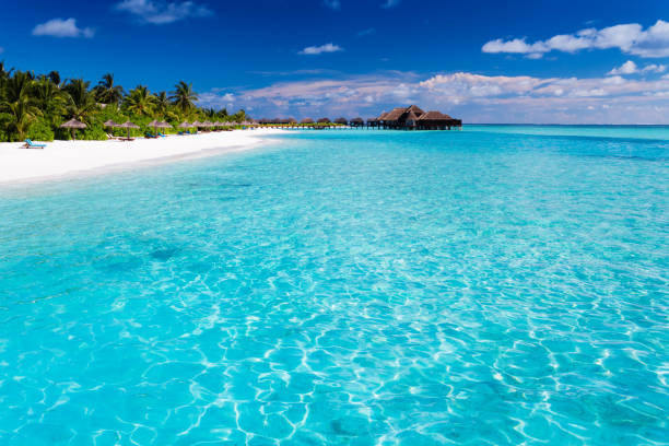 istock Tropical island with sandy beach with palm trees 951087122