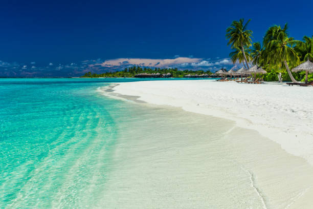 istock Palm trees over stunning lagoon and white sandy beach 951087160