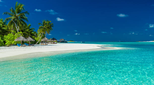 istock Palm trees and beach umbrelllas over lagoon and white sandy beach, Maldives 951087252