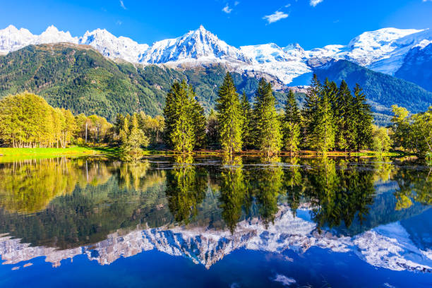 istock The foot of Mont Blanc 951087340
