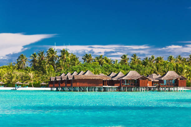 istock Overwater bungallows in lagoon on tropical island with coconut palm trees 951087802