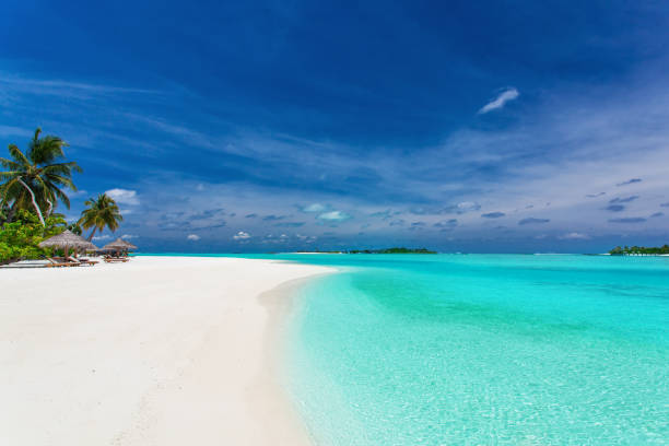 istock Palm trees over stunning lagoon and white sandy beach 951090610