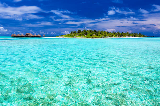 istock Tropical Island and over water bungalows 951091086