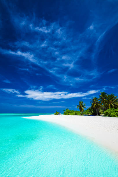 istock White tropical beach with beautiful sky with palm trees and blue lagoon 951094344