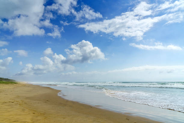 istock Deserted beach on Queensland coastline 951094404