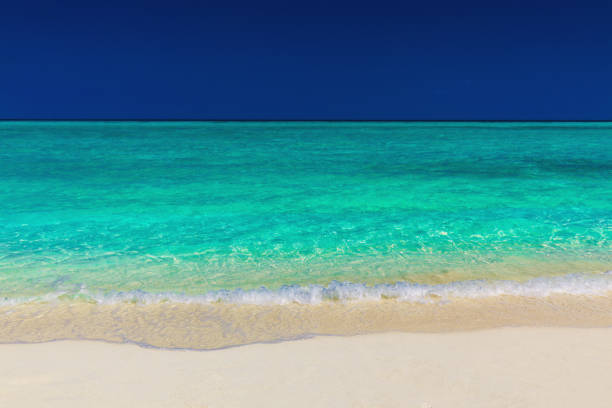 istock Vibrant green tropical sea, sand and blue sky 951095070