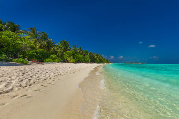 istock Ultimate destination beach on a tropical island, Maldives 951095322