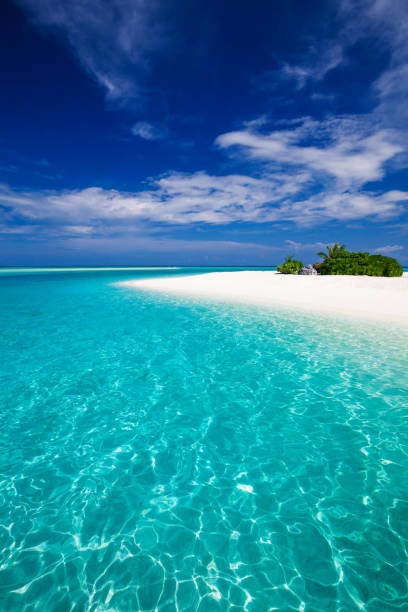istock The most amazing beach on a tropical island 951095446