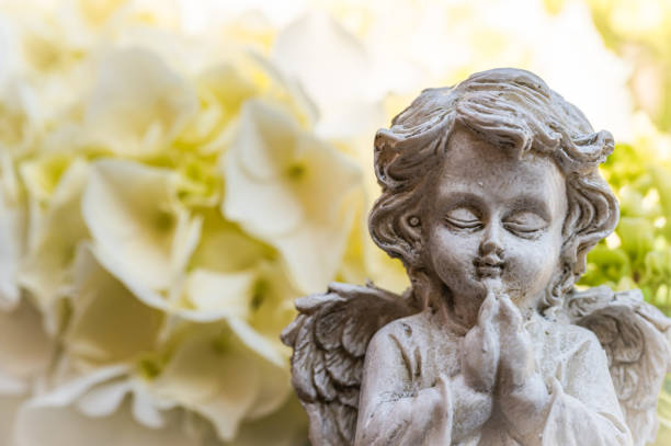 piccolo angelo che prega con fiori bianchi per il funerale o la carta della simpatia - new life death cemetery flower foto e immagini stock