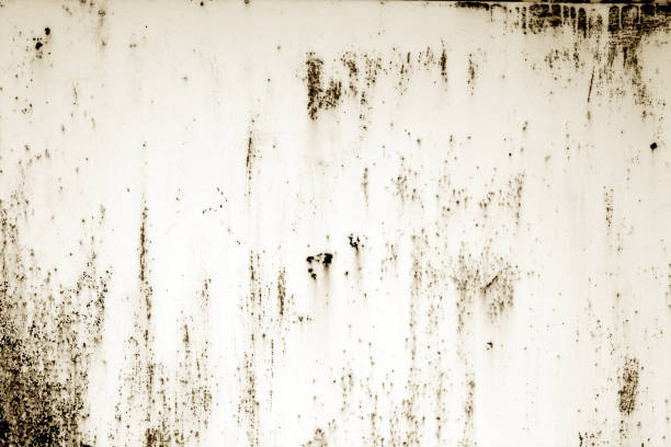 istock Grungy rusted metal surface in brown tone. 951095674
