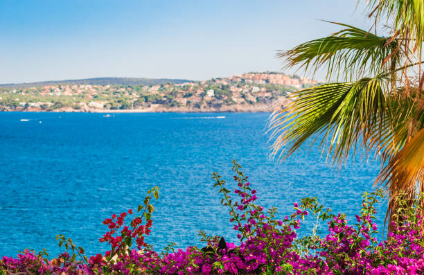 Idyllic sea view of the coast on Majorca, Spain Mediterranean Sea, Balearic Islands Beautiful coastline on Mallorca island, Spain Mediterranean Sea seaside views of cala fornells mallorca stock pictures, royalty-free photos & images