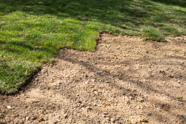 istock Freshly laid turf at  garden 951101420