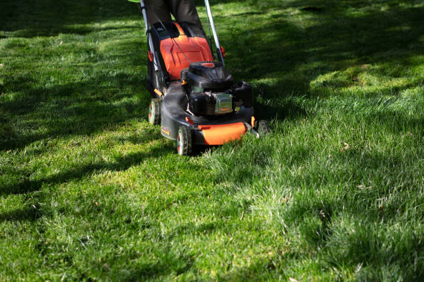 istock Lawn mower cutting green grass. Work in the garden 951101504