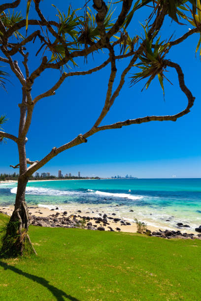 istock Gold Coast skyline and surfing beach visible from Burleigh Heads 951101702