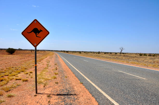 istock Australia Kings Canyon 951104618