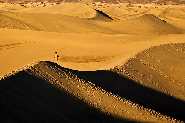 istock Lone Man In Suit Standing On Sand Dunes 95110468