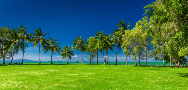 PORT DOUGLAS, AUSTRALIA - 27 MARCH 2016. Rex Smeal Park in Port Douglas with tropical palm trees and beach, Australia PORT DOUGLAS, AUSTRALIA - 27 MARCH 2016. Rex Smeal Park in Port Douglas with tropical palm trees and beach, Australia port douglas photos stock pictures, royalty-free photos & images