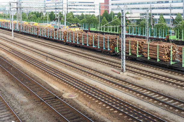 istock Round timber on cargo platforms on the railway 951107450