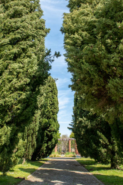 istock Arnado Park in Ponte de Lima 951109772