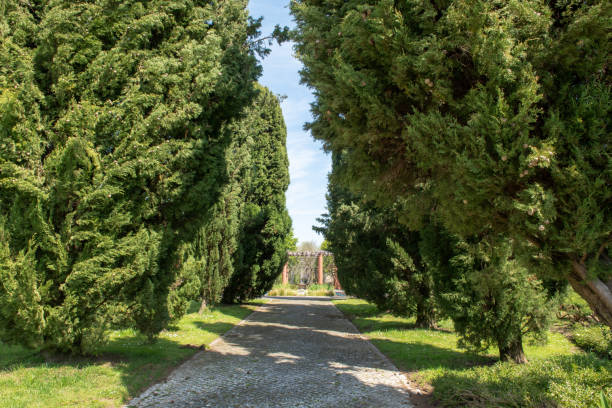 Arnado Park in Ponte de Lima