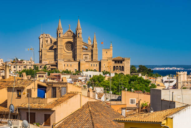istock Palma de Majorca with view of Cathedral La Seu, Spain 951109926