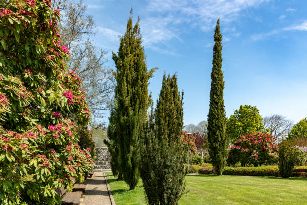 Arnado Park in Ponte de Lima