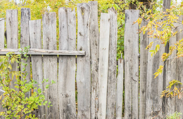 istock Old wooden fence 951111948