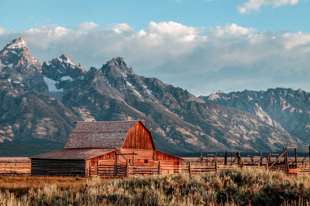 istock Barn Morman Settlement Grand Teton Nation Park 951112476