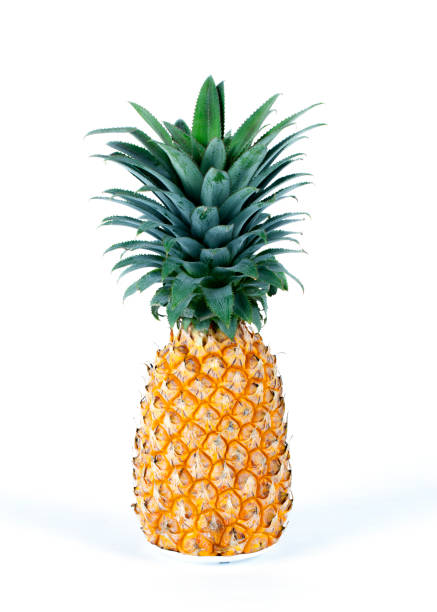 istock Pineapple fruits Isolated studio on white backgrounds 951112504