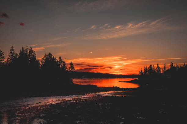 istock Beach Sunset Acadia National Park Pines 951116284