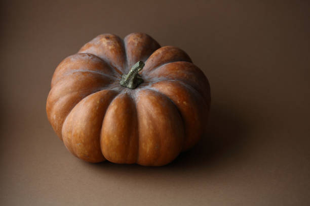 istock One pumpkin on brown background, holiday food 951121308