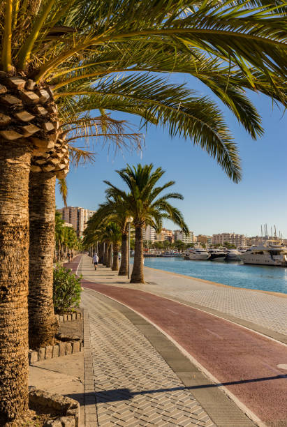 spain mallorca marina harbor of palma de majorca city, mediterranean sea - majorca yacht marina palma imagens e fotografias de stock