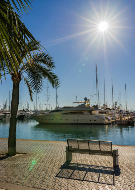 barcos de luxo na marina de beira-mar palma de maiorca, espanha, mediterrâneo - majorca yacht marina palma - fotografias e filmes do acervo