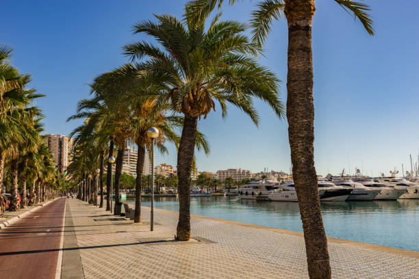 abrigam marina e a cidade de palma de maiorca, espanha, mediterrâneo, ilhas baleares - majorca yacht marina palma - fotografias e filmes do acervo