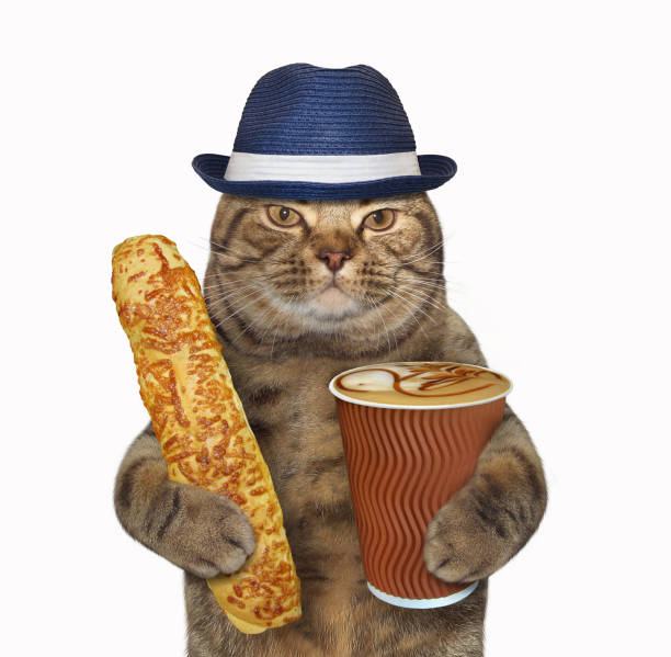 istock Cat holds a cheese bun and coffee 951127274